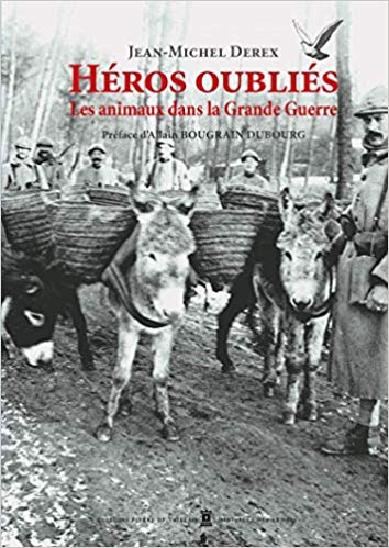 Bougrain Dubourg héros